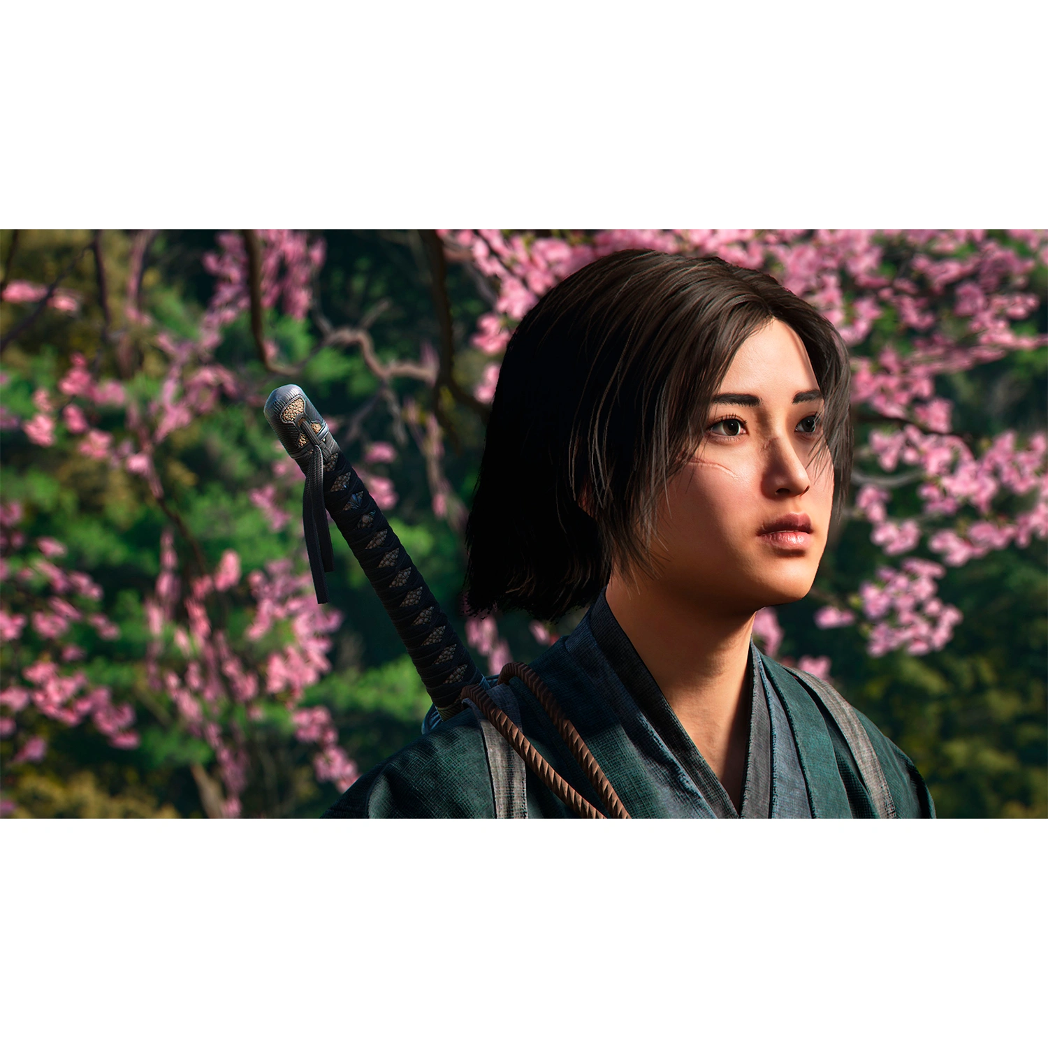 Игра для PS5 Assassin's Creed Shadows Special Edition  - 3