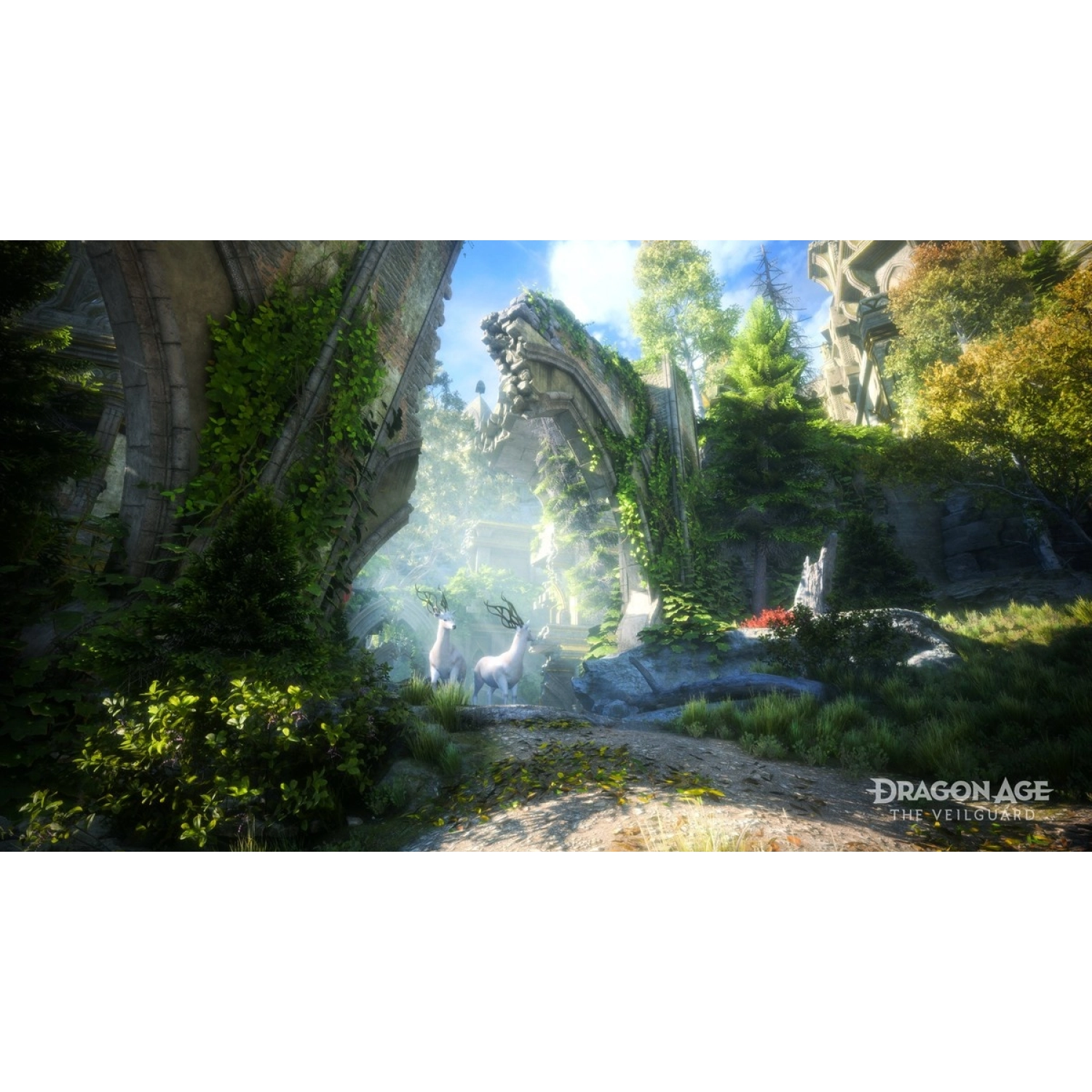 Игра для PS5 Dragon Age: The Veilguard - 6