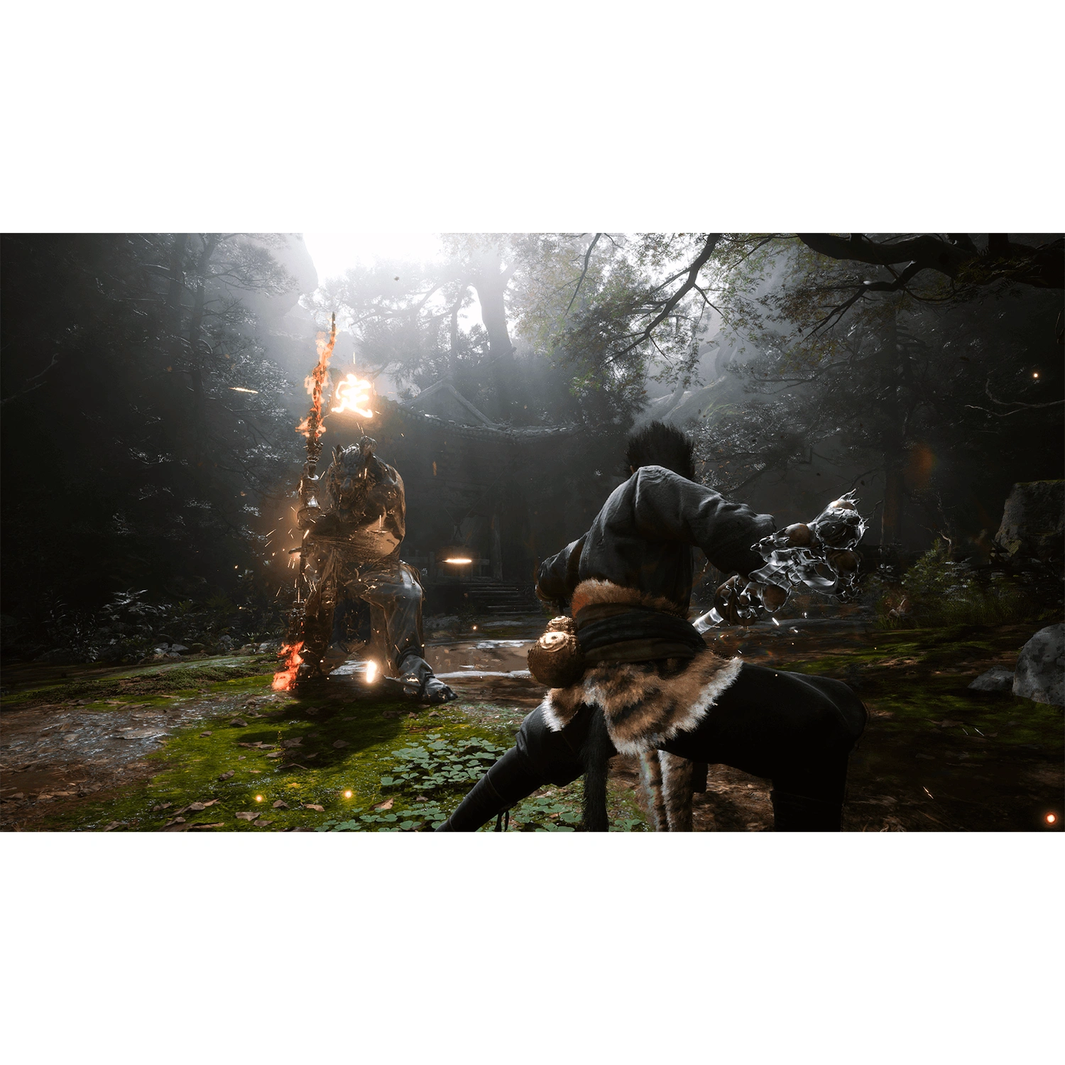 Игра для PS5 Black Myth: Wukong Deluxe Edition - 3