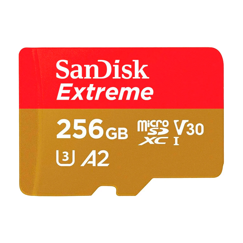 Карта памяти SanDisk Extreme (без адаптера), 256 ГБ - 1