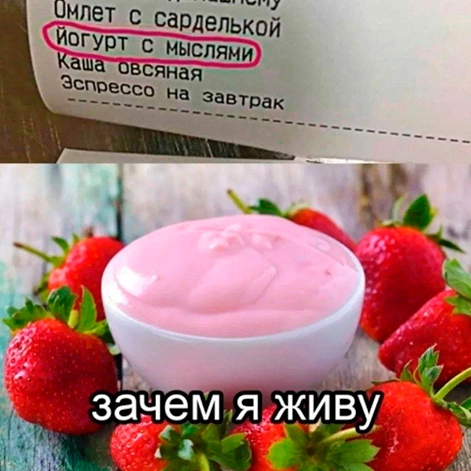 рмем 5.webp