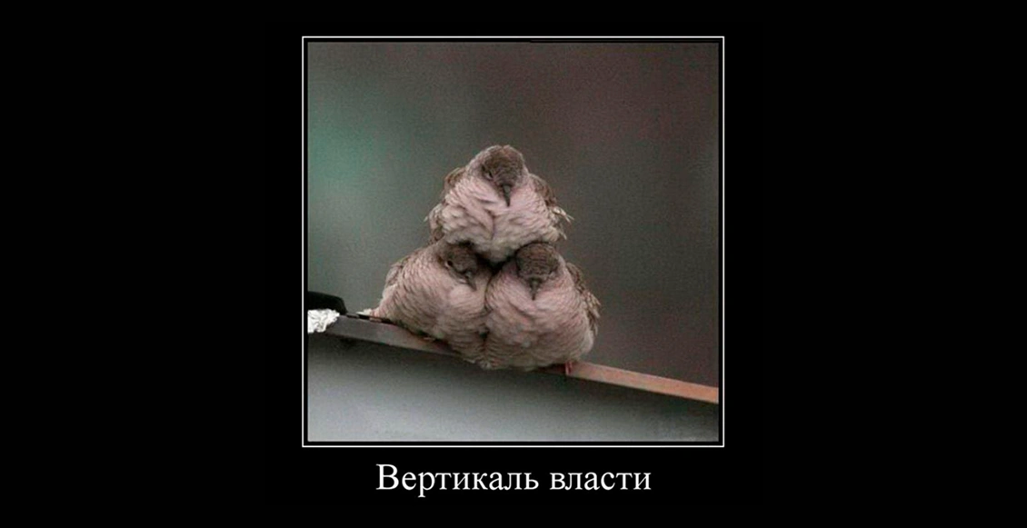 м30лис 7.webp