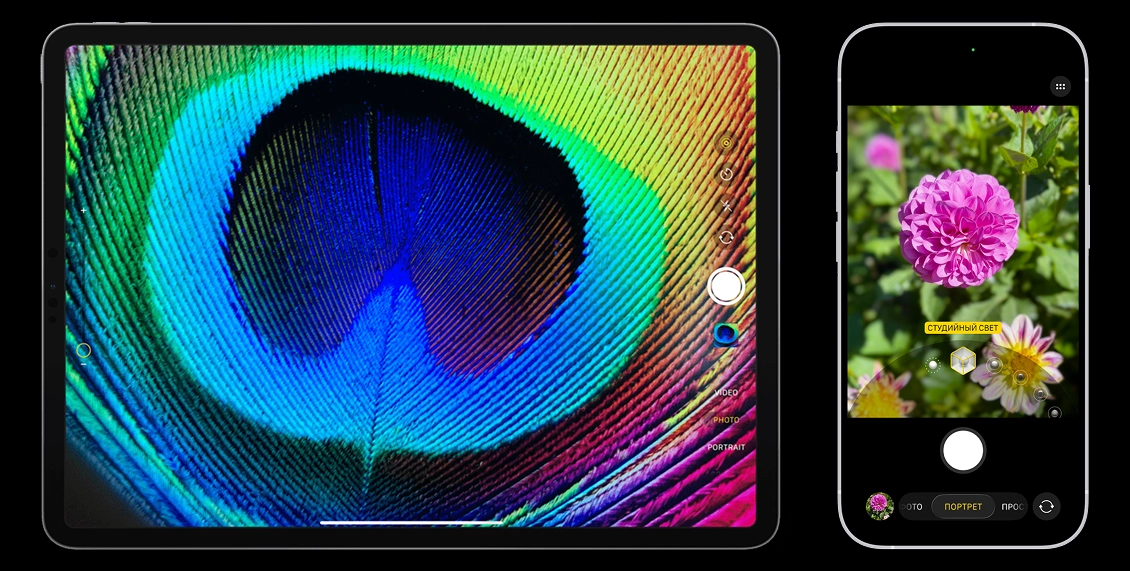 статья фото 1.webp статья фото 1.webp