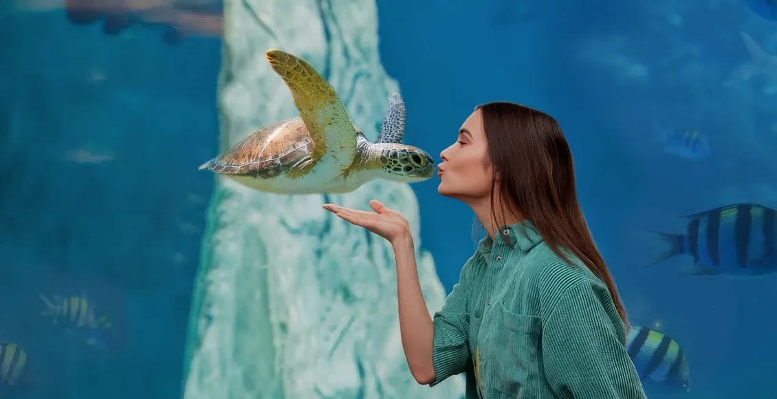 Смартфон Samsung Galaxy Z Flip 6 12/512 ГБ серый (1sim + eSim) - 5