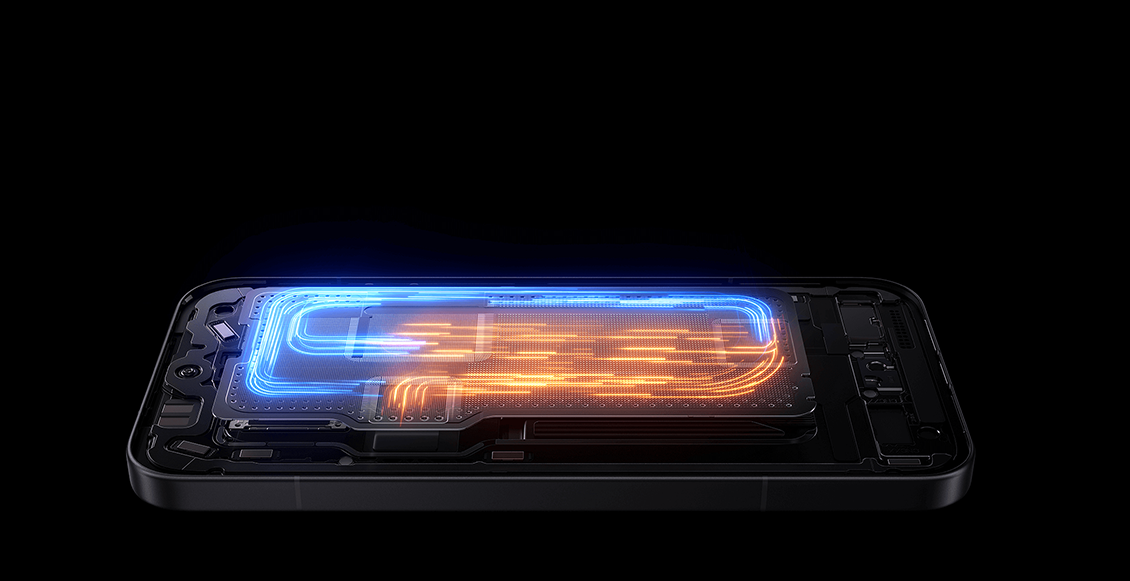 сс17услбс 7.webp