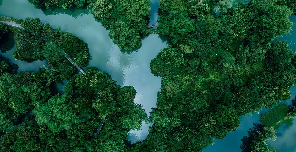 о400по 6.webp о400по 6.webp