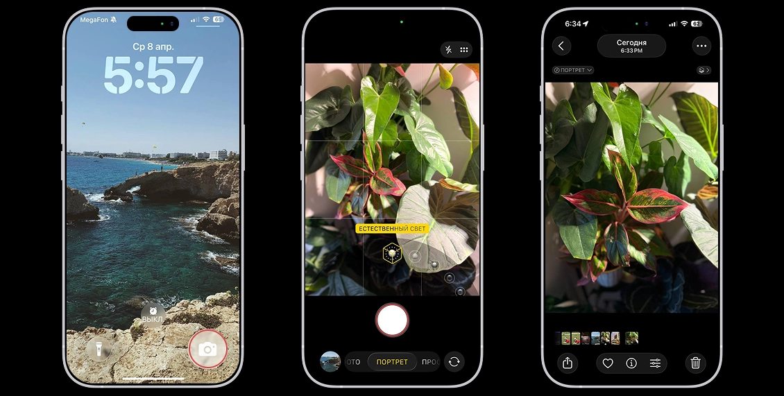 статья фото 4.webp статья фото 4.webp