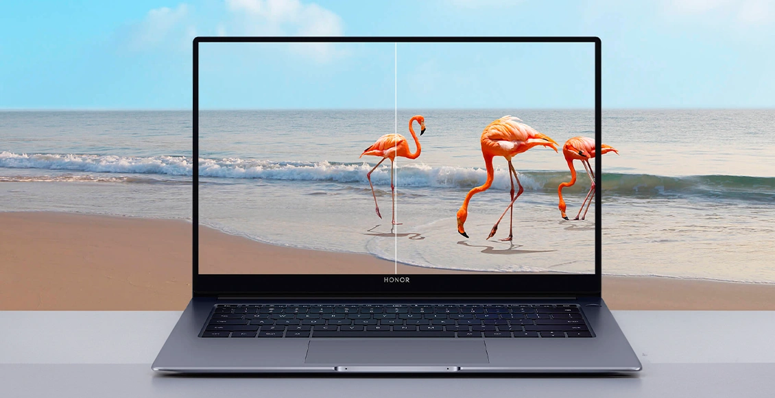 Ноутбук Honor Magicbook X14 (2024) Core i5 13500H Intel UHD Graphics 16 ГБ, 512 ГБ SSD (), серый Ноутбук Honor Magicbook X14 (2024) Core i5 13500H Intel UHD Graphics 16 ГБ, 512 ГБ SSD (), серый - 2