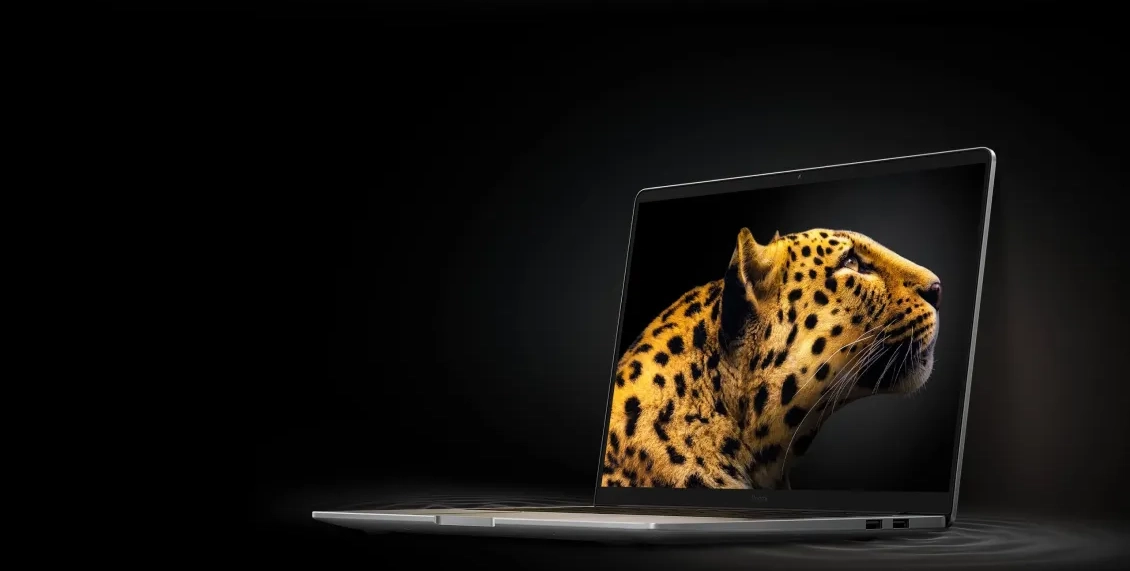 статьянг 29.webp