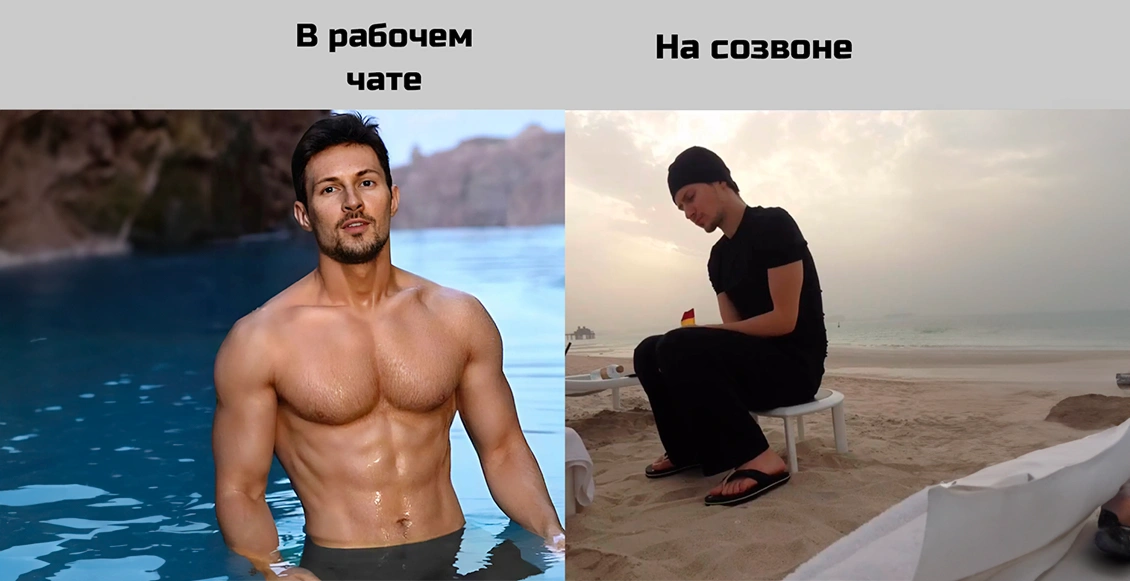 м30лис 9.webp