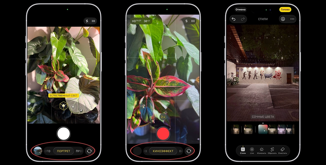 статья фото 9.webp статья фото 9.webp