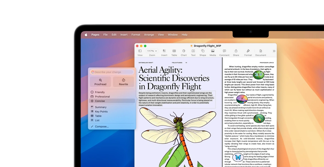 макэ2025о 3.webp макэ2025о 3.webp