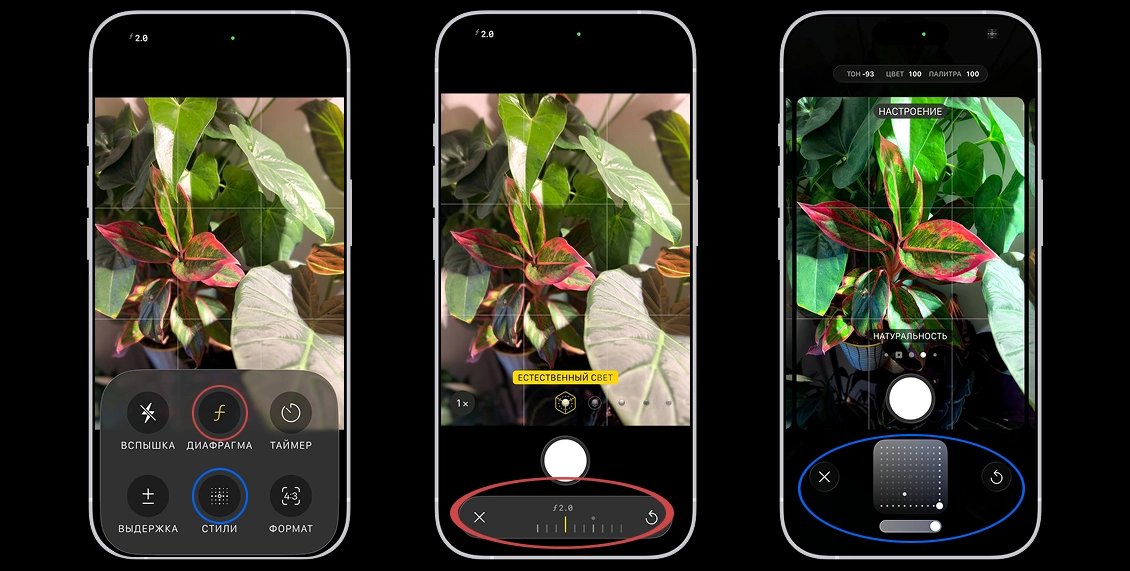 статья фото 5.webp статья фото 5.webp