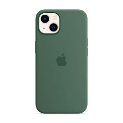 Клип-кейс (накладка) Apple Silicone Case MagSafe для Apple iPhone 13 силикон, Eucalyptus