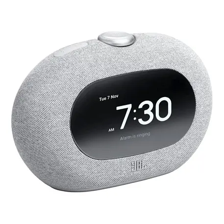 Портативная колонка JBL Horizon 3 серый - 2