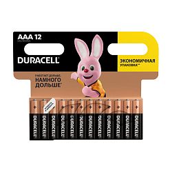 Батарейка Duracell Basic AAA LR03-12BL, 12шт 