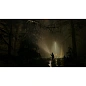 Игра для PS5 Alan Wake 2