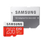 Карта памяти Samsung Evo Plus MB-MC256KA, 256 ГБ