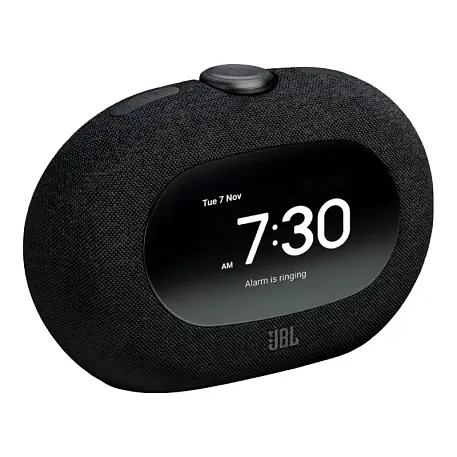 Портативная колонка JBL Horizon 3 чёрный - 2