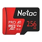 Карта памяти Netac P500 Extreme Pro (без адаптера), 256 ГБ