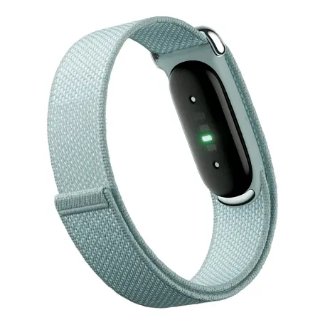 Фитнес-браслет Google Fitbit Air серый - 2