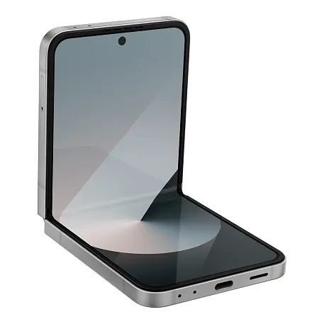 Смартфон Samsung Galaxy Z Flip 6 12/512 ГБ серый (1sim + eSim) - 2