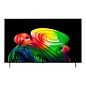Телевизор LG OLED55B6RLA 55" (139 см) серый (OLED55B6RLA.ARUG)