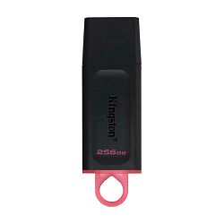 USB-флешка Kingston DataTraveler Exodia 256 ГБ чёрно-розовый