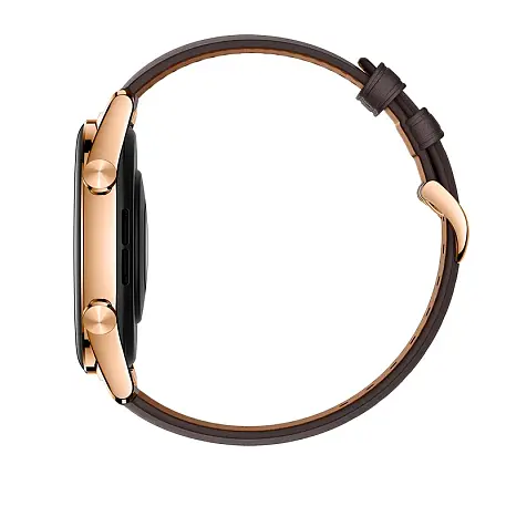 Умные часы Honor Watch GS 3 золотой - 3