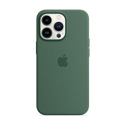 Клип-кейс (накладка) Apple Silicone Case MagSafe для Apple iPhone 13 Pro силикон, Eucalyptus