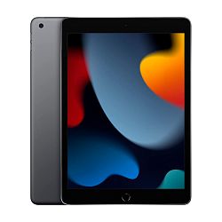 Планшет Apple iPad 10.2" (2021) Wi-Fi 256 ГБ "серый космос" (MK2N3)
