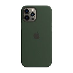 Клип-кейс (накладка) Apple Silicone Case MagSafe для Apple iPhone 12 Pro Max силикон, Cyprus Green