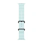 Умные часы Apple Watch Ultra 2 (2024) 49mm GPS + Cellular