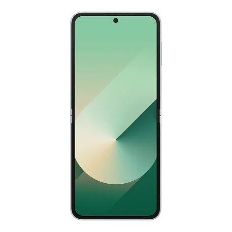 Смартфон Samsung Galaxy Z Flip 6 12/512 ГБ мятный (1sim + eSim) - 4