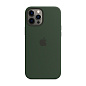 Клип-кейс (накладка) Silicone Case для Apple iPhone 12 Pro Max силикон, "зелёная сосна"