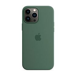 Клип-кейс (накладка) Apple Silicone Case MagSafe для Apple iPhone 13 Pro Max силикон, Eucalyptus