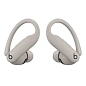 Беспроводные наушники Beats Powerbeats Pro 2