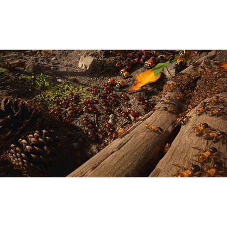 Игра для Xbox Empire of the Ants (оформление на учётную запись) - 6