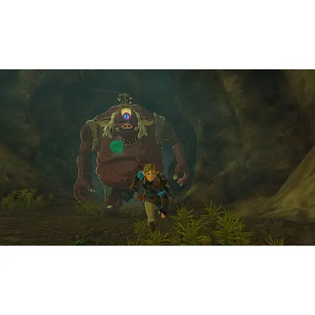 Игра для Nintendo Switch 2 The Legend of Zelda: Tears of the Kingdom - 8