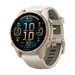Умные часы Garmin Fenix 8 43mm золотистый (дымчато-серый ремешок)