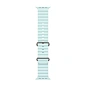 Умные часы Apple Watch Ultra 2 (2024) 49mm GPS + Cellular