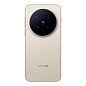 Смартфон Vivo X300 Pro
