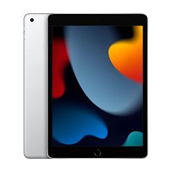 Планшет Apple iPad 10.2" (2021) Wi-Fi 256 ГБ серебристый (MK2P3)