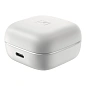 Беспроводные наушники Sennheiser Accentum True Wireless