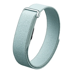 Фитнес-браслет Google Fitbit Air серый