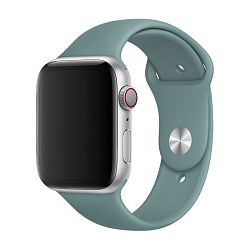 Спортивный ремешок для Apple Watch 38 / 40 / 41 / 42mm фторэластомер "дикий кактус"