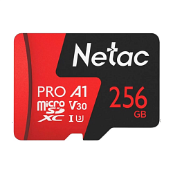 Карта памяти Netac P500 Extreme Pro, 256 ГБ