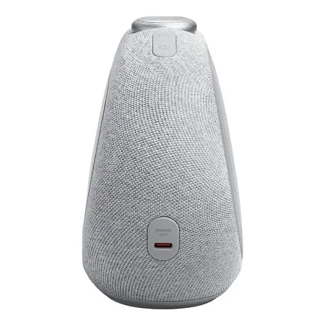 Портативная колонка JBL Horizon 3 серый - 3