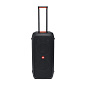 Акустическая система JBL Partybox 310