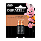 Батарейка Duracell Basic AAA LR03-2BL, 2шт 